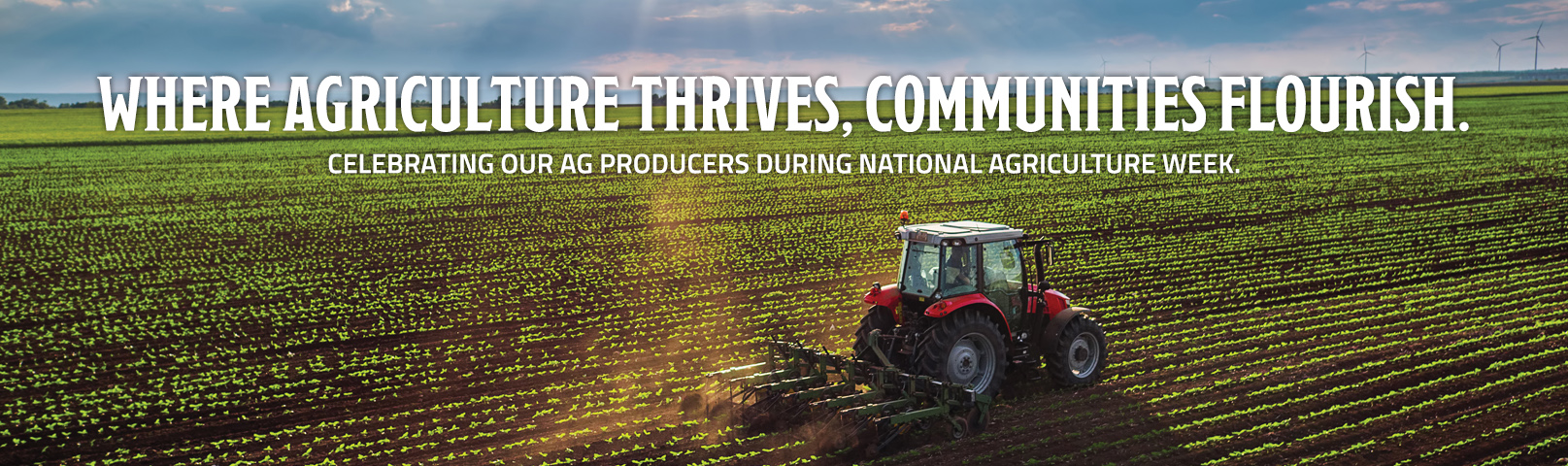 first united bank ag week